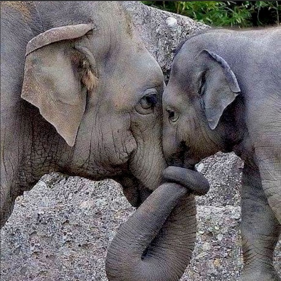 Meet your Posher, Francesca - Picture 4 of 11